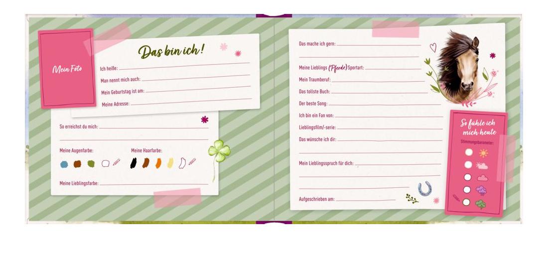 Produktbild Die Spiegelburg - Freundebuch: Meine Freundinnen und Freunde (Pferdefreunde) 2 von 3