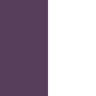 Quiet Violet