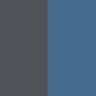 Insignia Blue