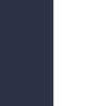 Insignia Blue