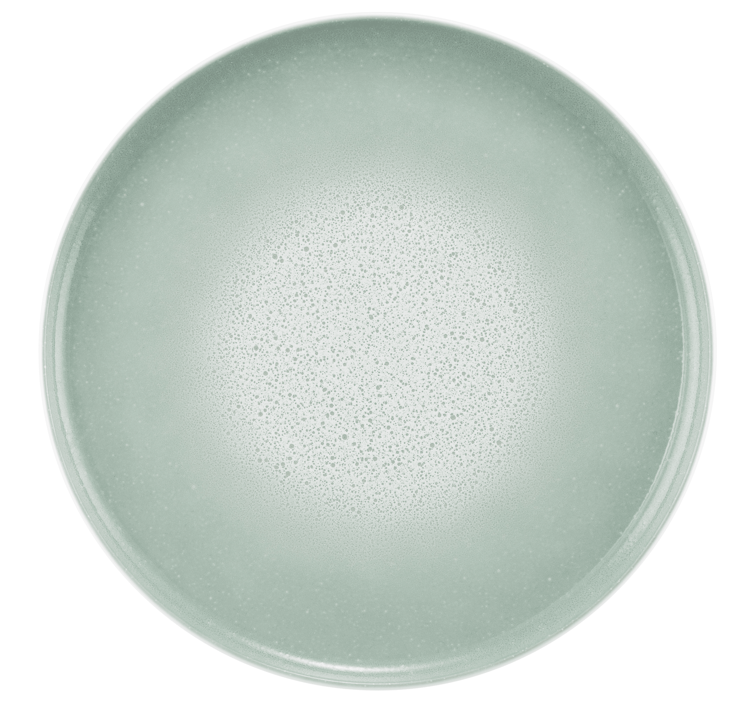 Seltmann Weiden Speiseteller Sento Home Aura ø27cm