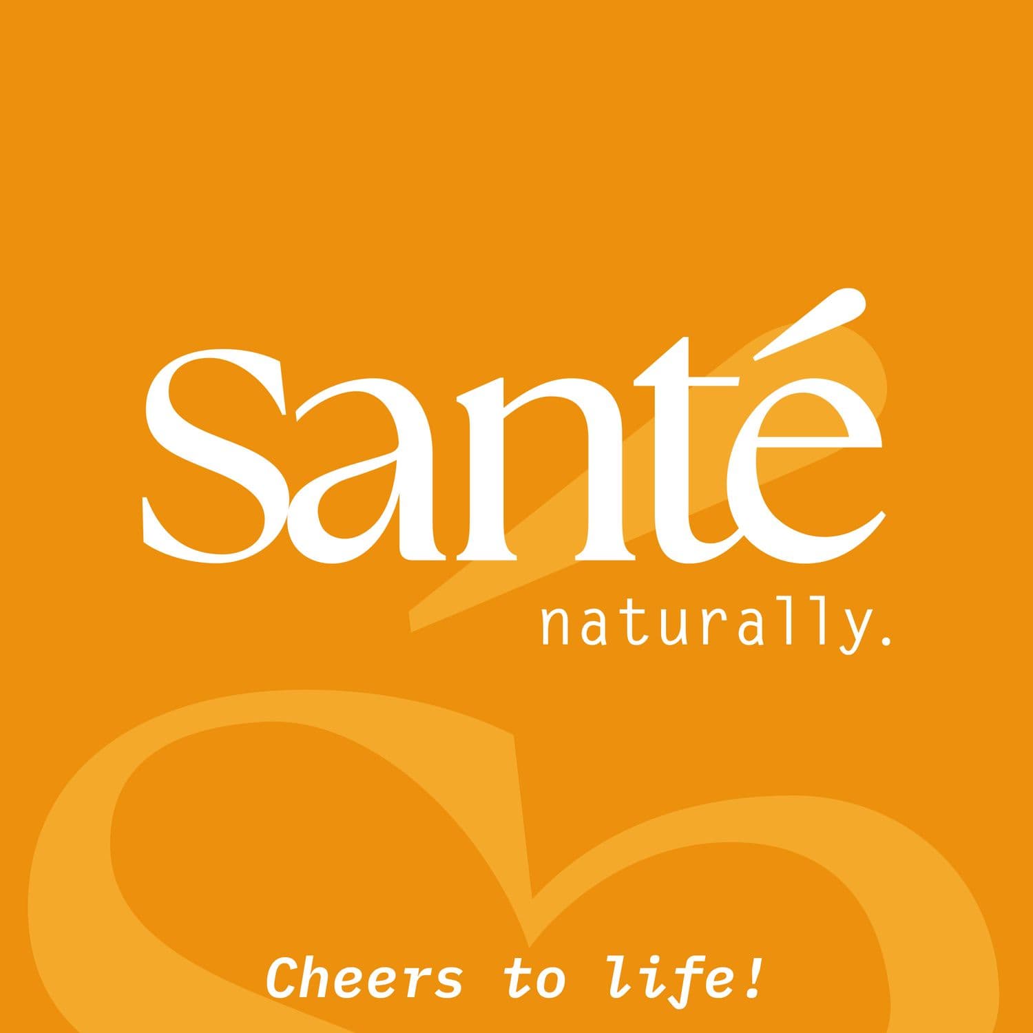 SANTE DEEP REPAIR Conditioner
