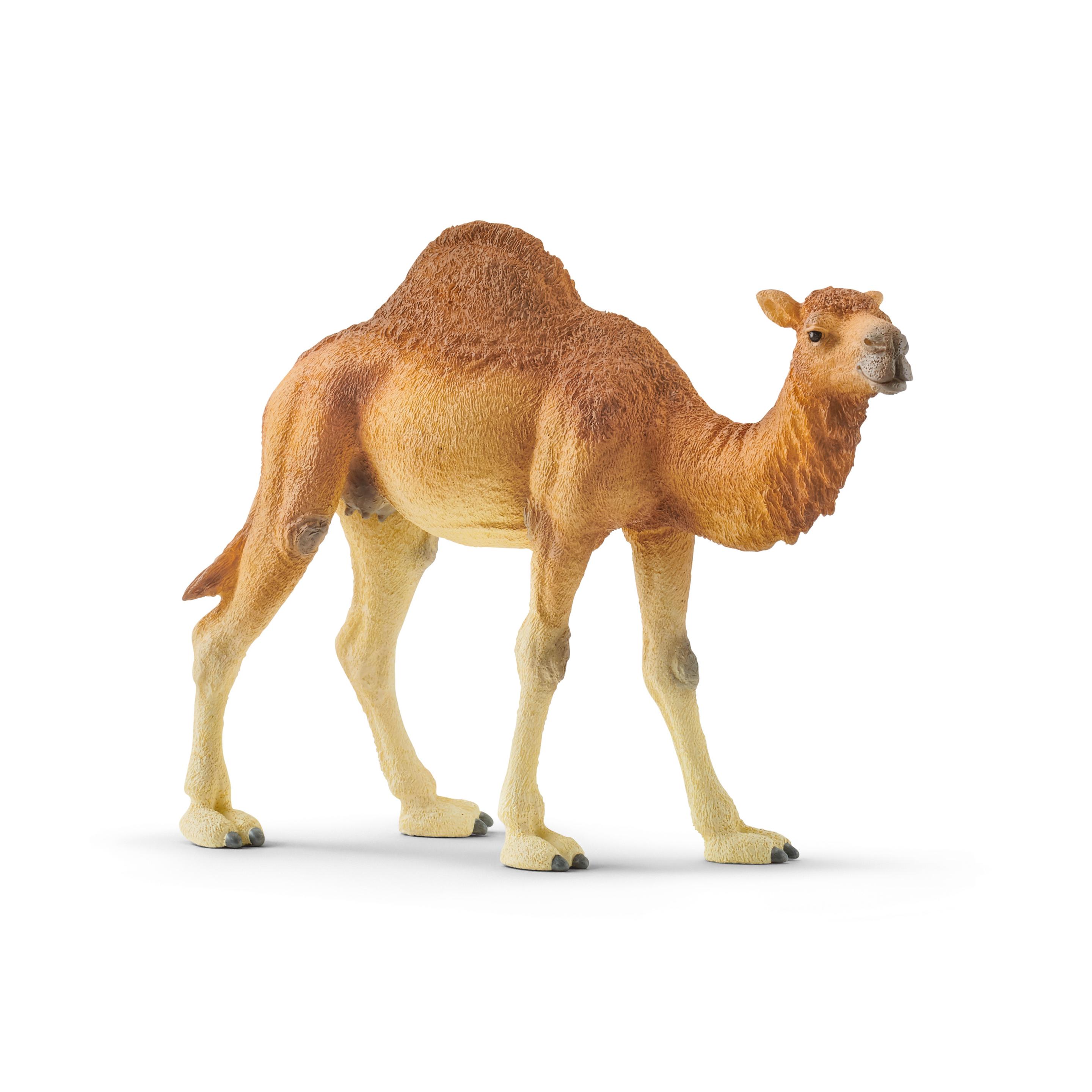 Schleich 14832 - Wild Life - Dromedar