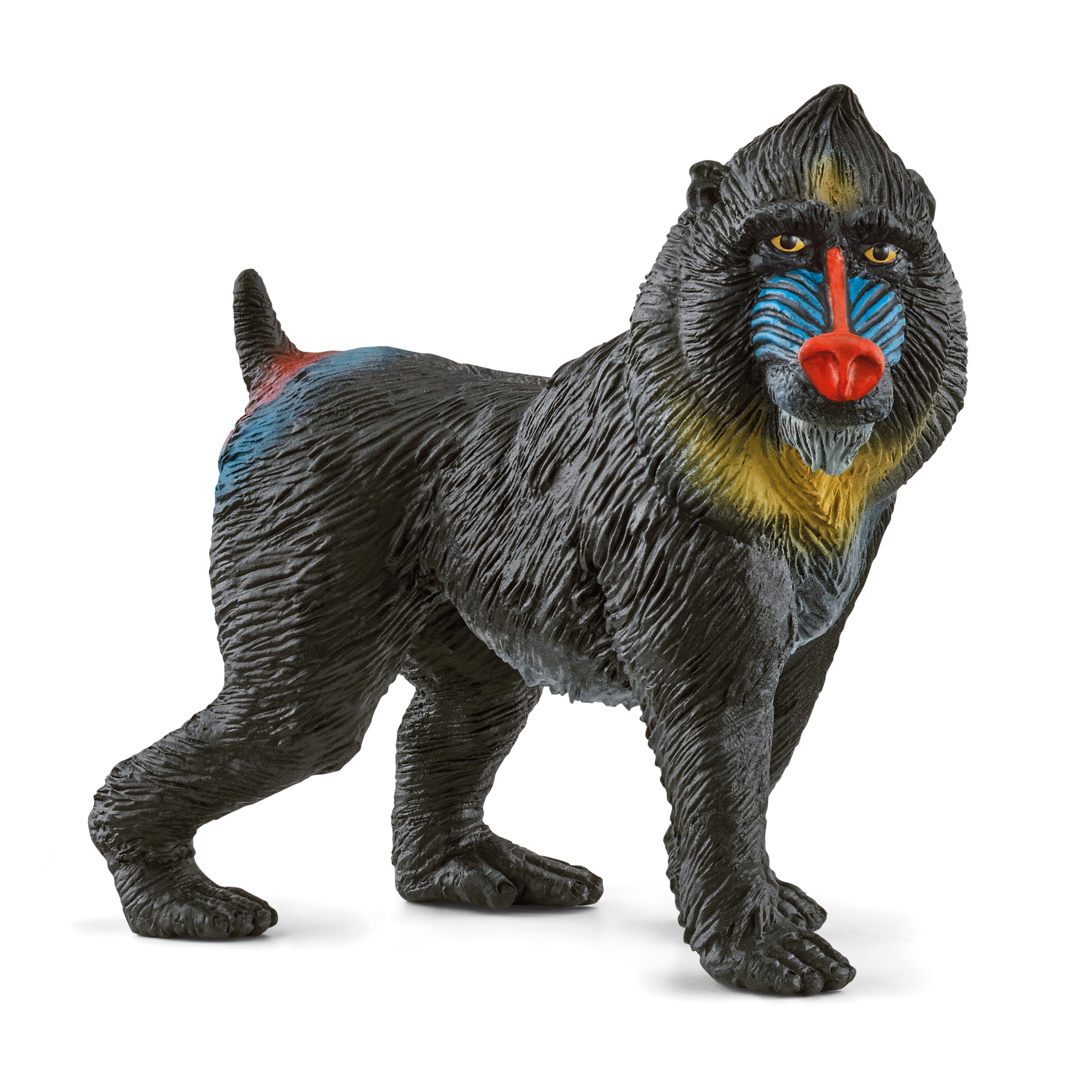 Schleich 14856 - Wild Life - Mandrill