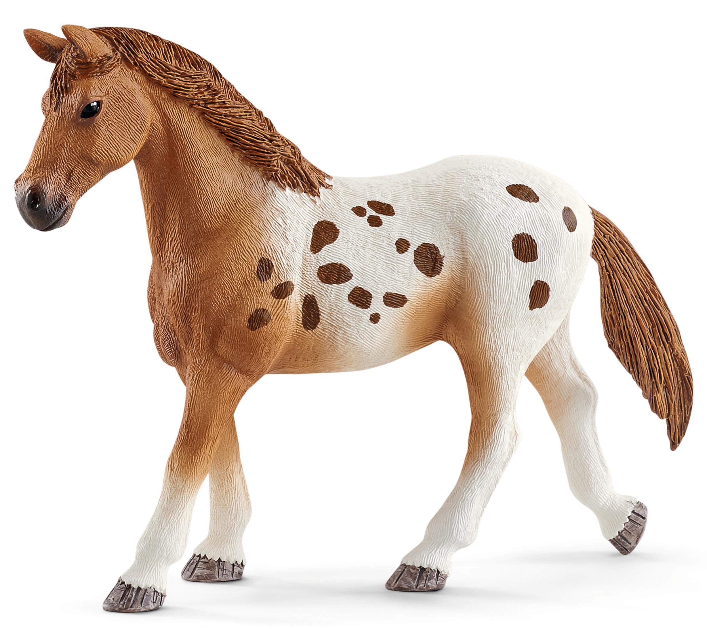 Produktbild Schleich 42433 - Horse Club - Lisas Turnier-Training 2 von 8