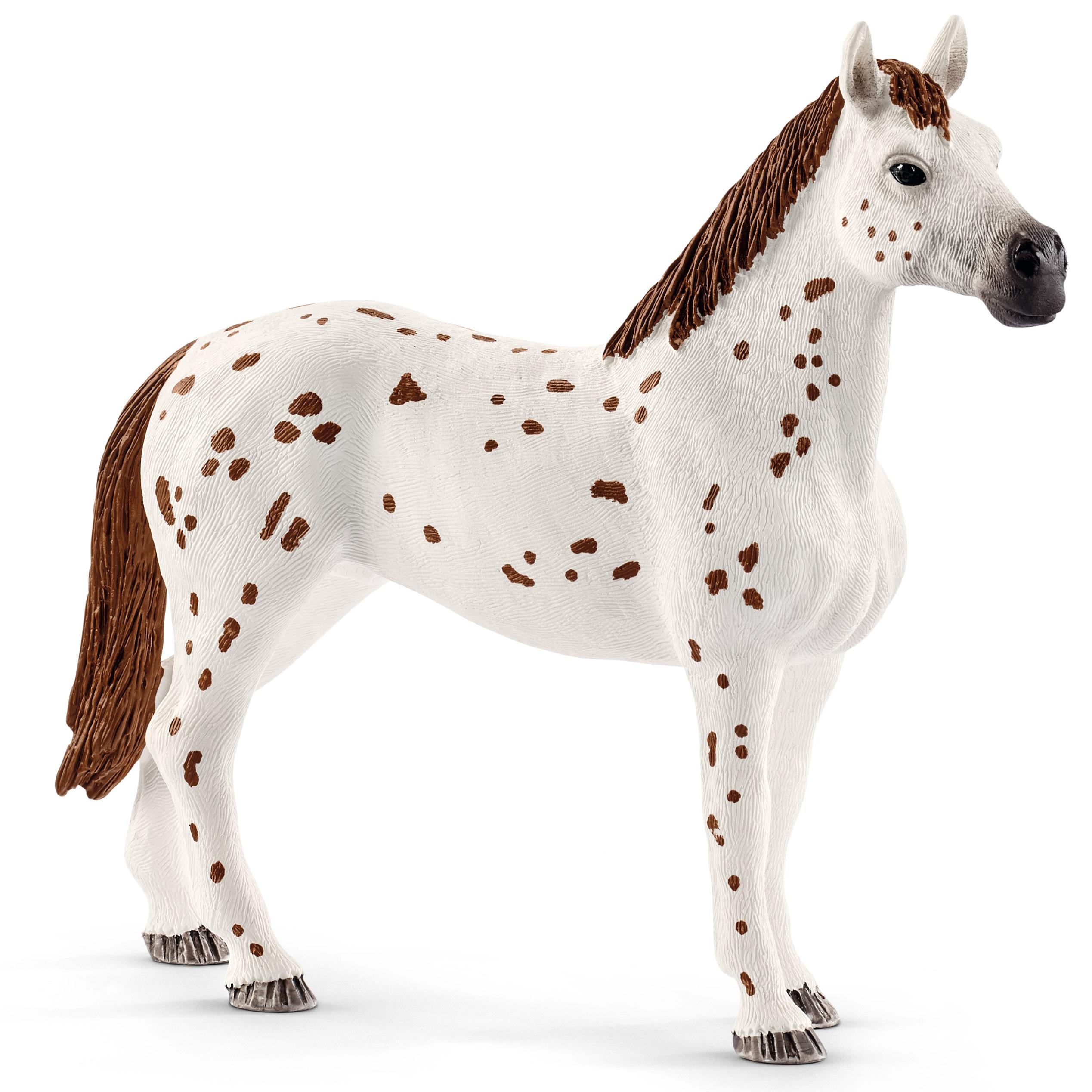 Produktbild Schleich 42433 - Horse Club - Lisas Turnier-Training 3 von 8