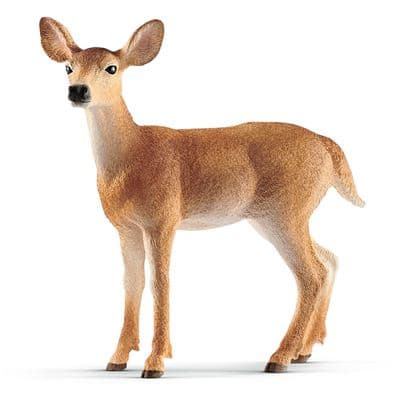 Produktbild Schleich 14819 - Wild Life - 14819 - Weißwedelkuh 2 von 2