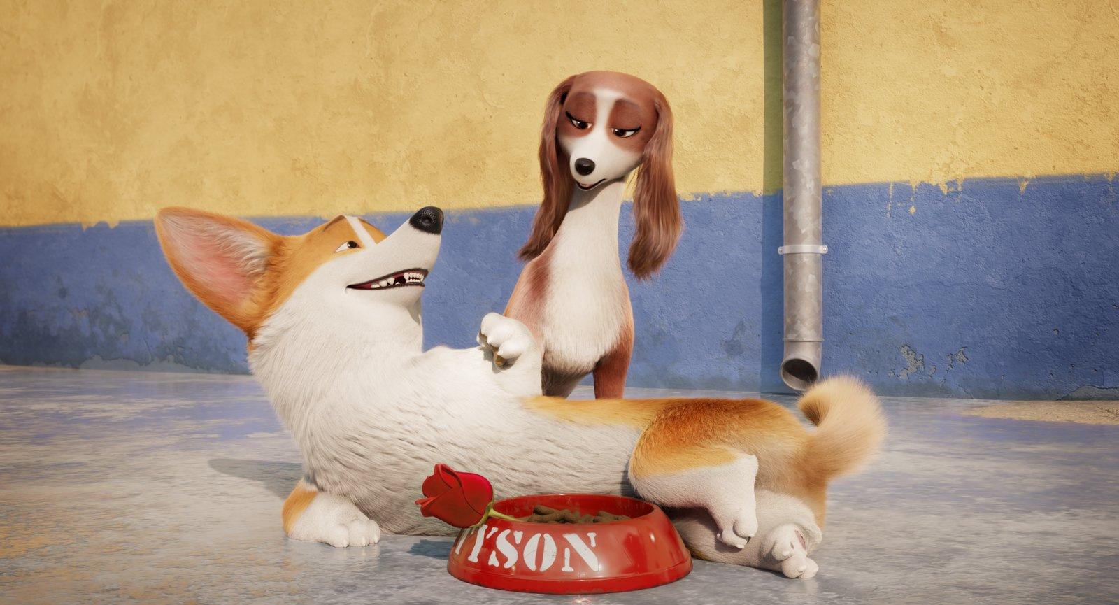 Produktbild Royal Corgi - Der Liebling der Queen 12 von 12