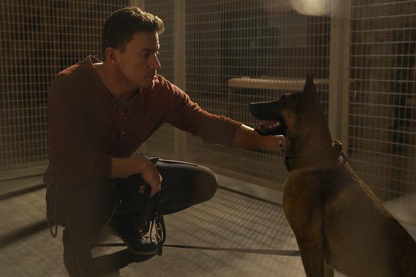 Produktbild Dog - Das Glück hat vier Pfoten 8 von 12