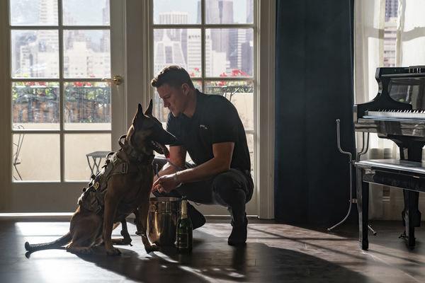Produktbild Dog - Das Glück hat vier Pfoten 9 von 12