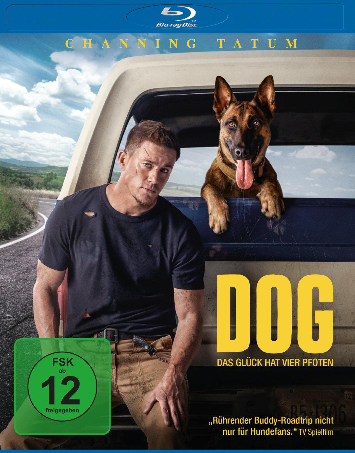 Dog - Das Glück hat vier Pfoten