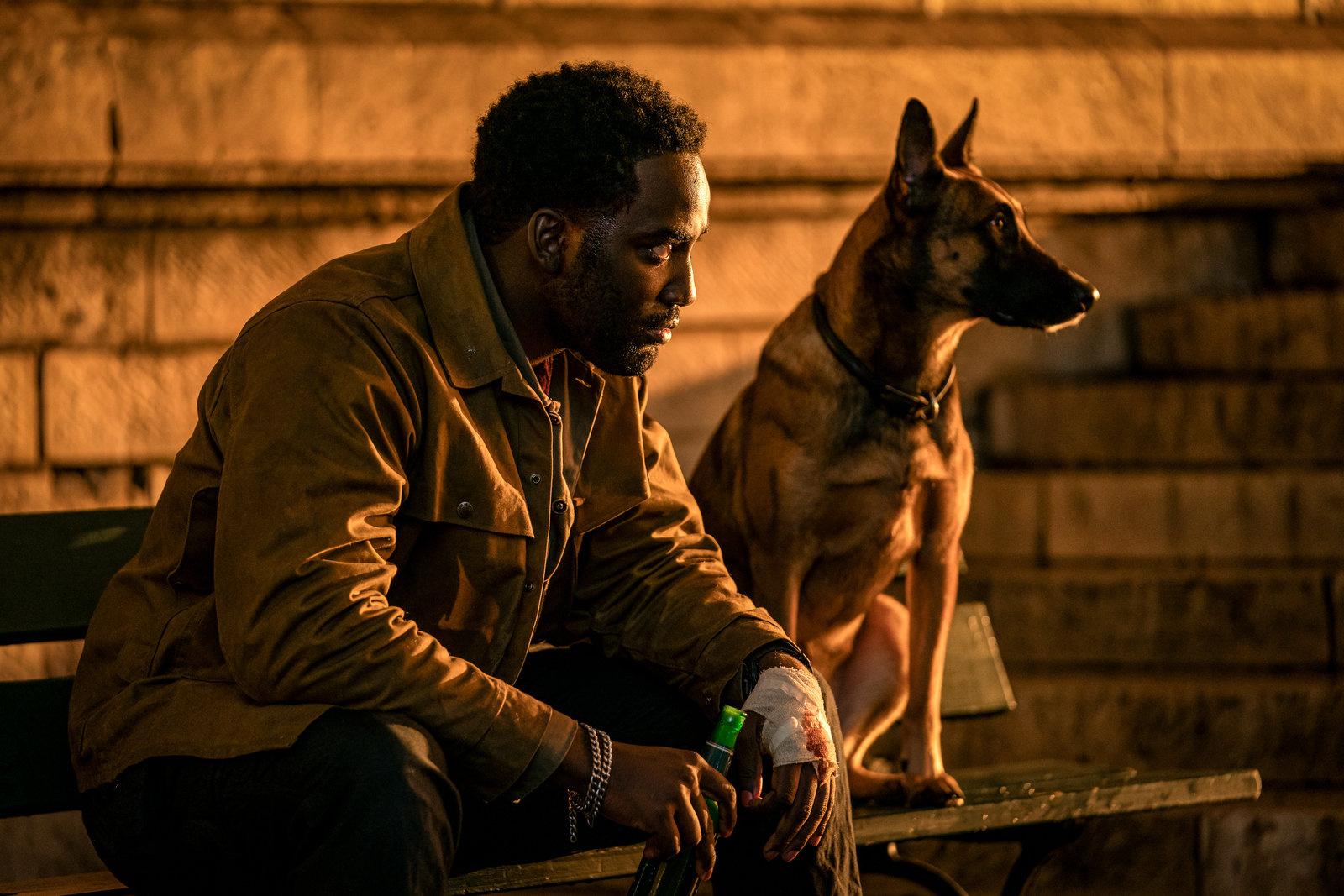 Produktbild John Wick: Kapitel 4  (4K Ultra HD) (+ Blu-ray) 7 von 9