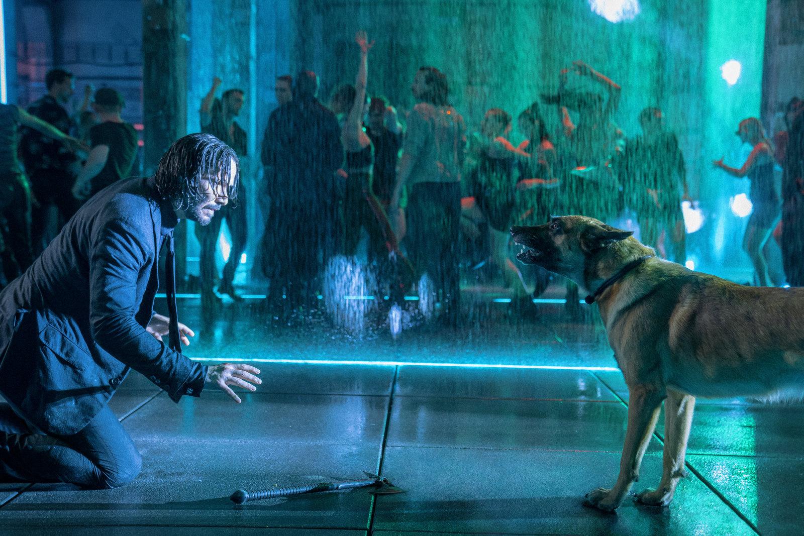 Produktbild John Wick: Kapitel 4  (4K Ultra HD) (+ Blu-ray) 8 von 9