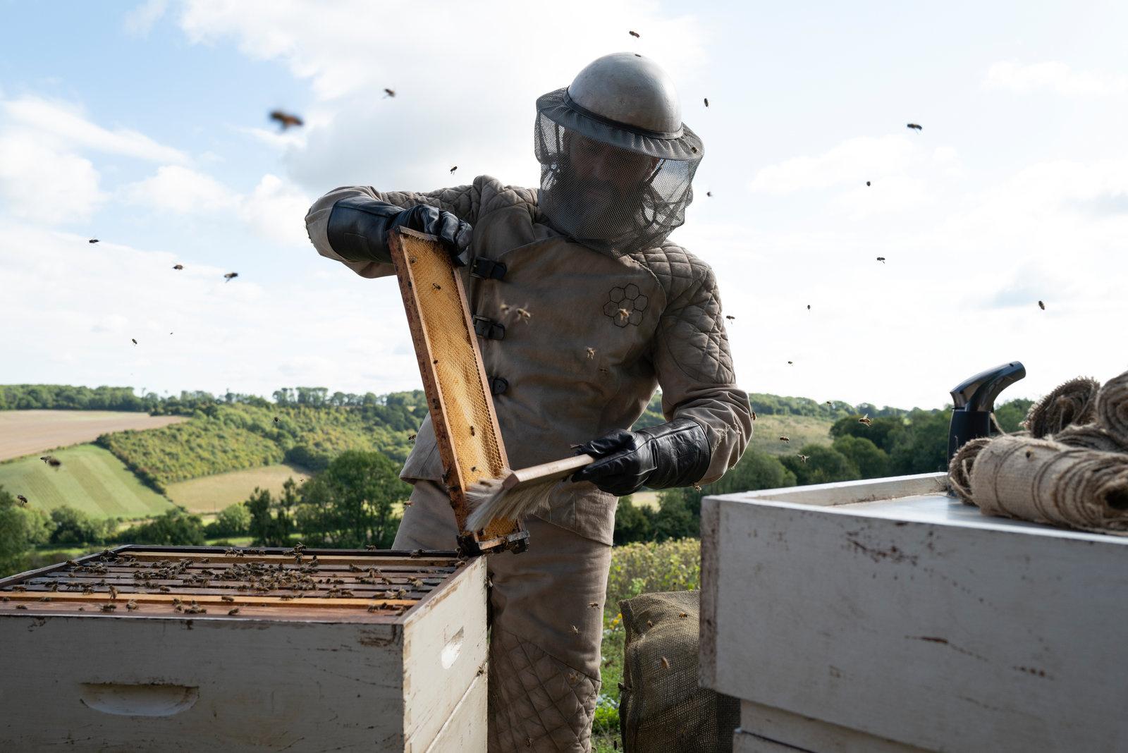 Produktbild The Beekeeper 3 von 12