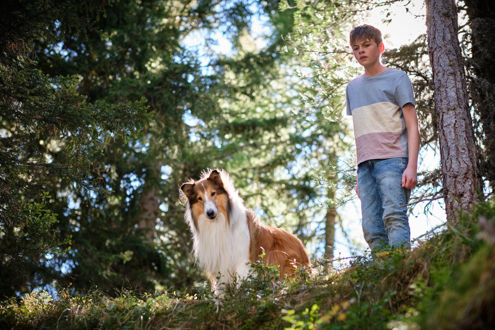 Produktbild Lassie - Ein neues Abenteuer 3 von 12