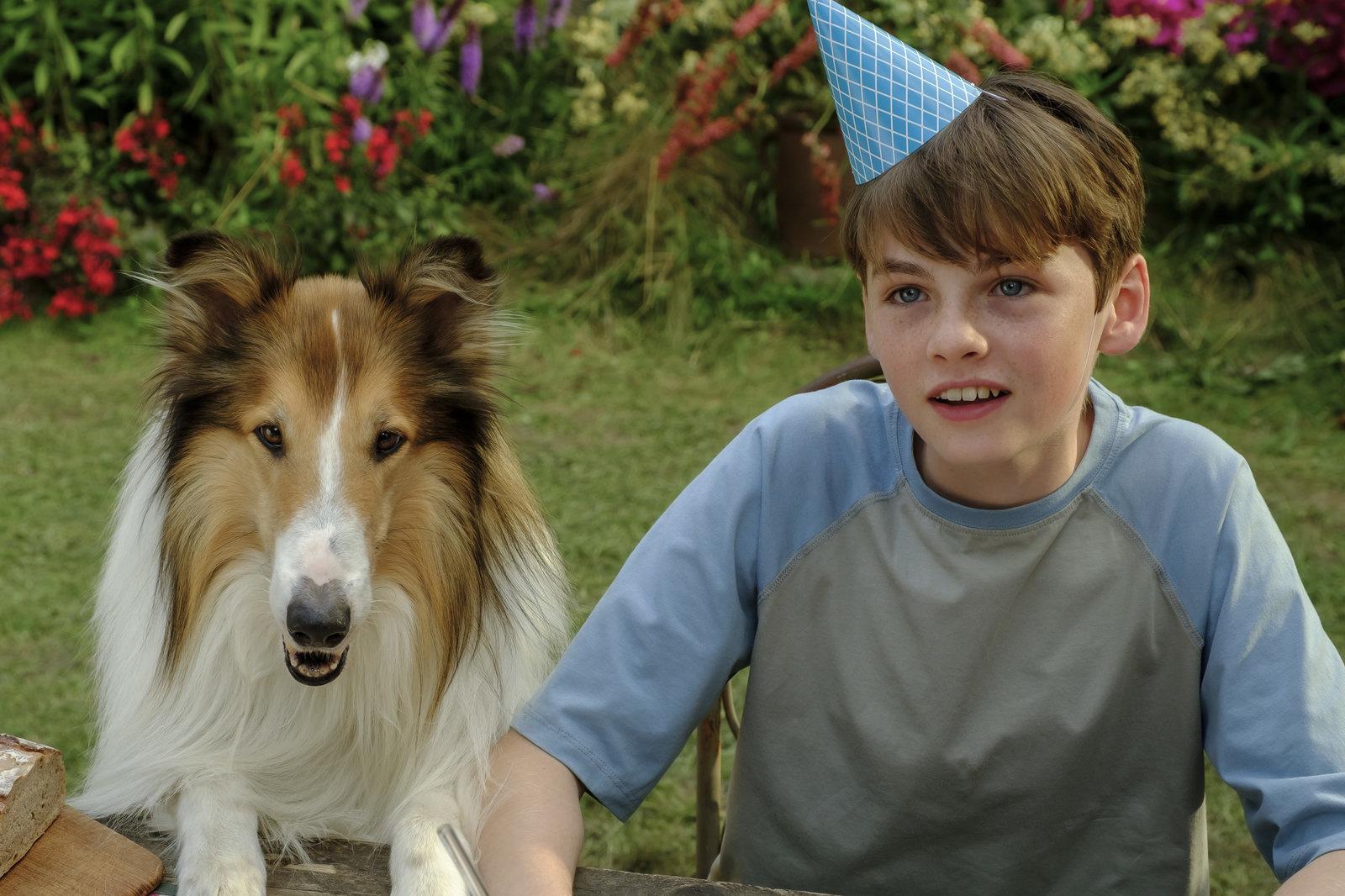 Produktbild Lassie - Ein neues Abenteuer 5 von 12
