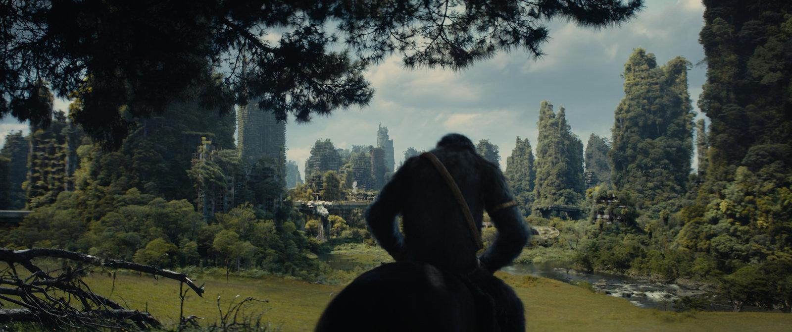Produktbild Planet der Affen - New Kingdom 7 von 11