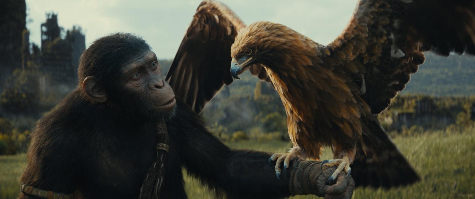 Produktbild Planet der Affen - New Kingdom  (4K Ultra HD) (+ Blu-ray) 3 von 11