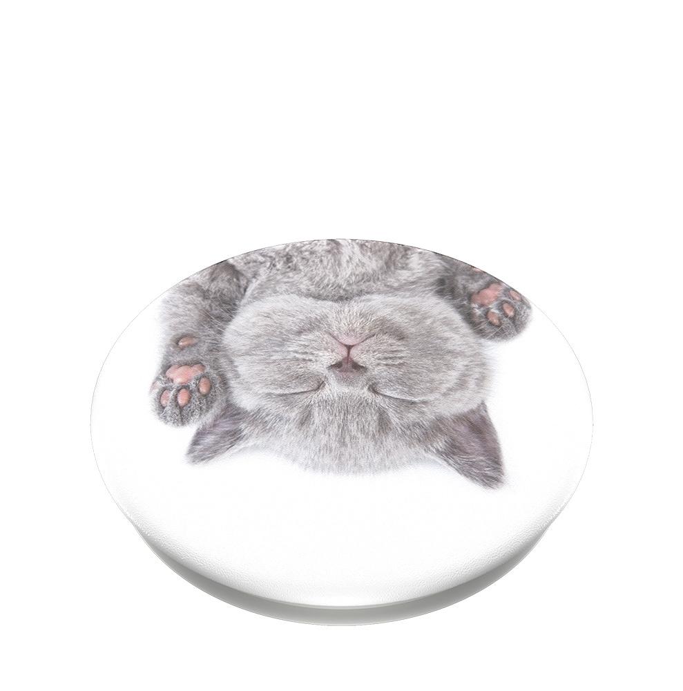 Produktbild PopGrip - ausziehbarer Handy-Griff Handyhalter -  Cat Nap 3 von 7