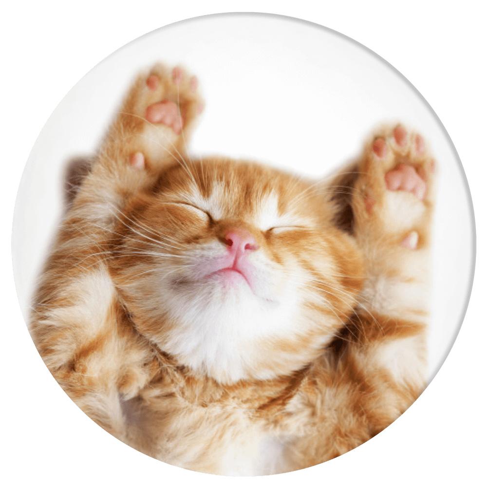 PopSockets Basic Snoozy Cat