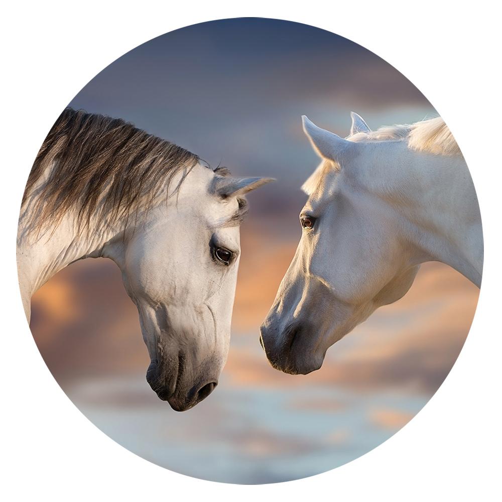 POPSOCKETS BASIC SUNSET HORSES