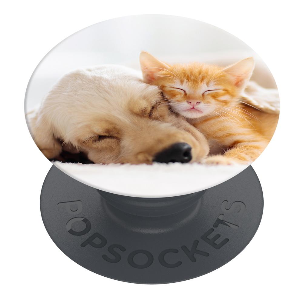 Produktbild POPSOCKETS BASIC CAT&DOG 2 von 5