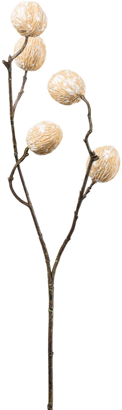 CREATIV GREEN Kunstblume Walnusszweig