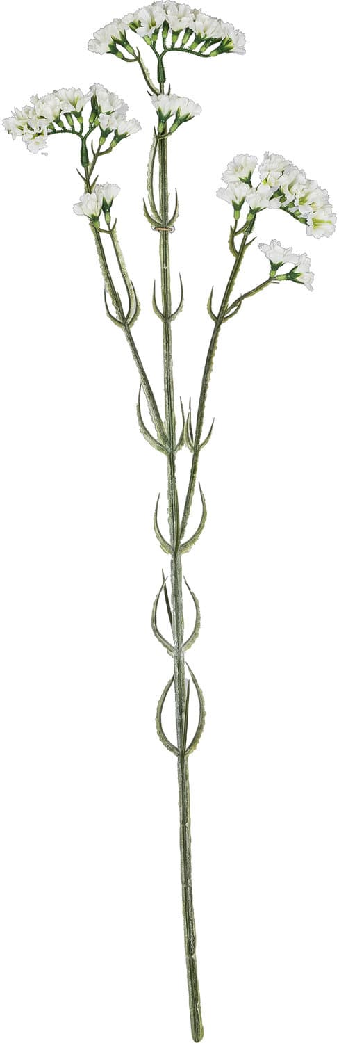 CREATIV GREEN Kunstblume Strandflieder