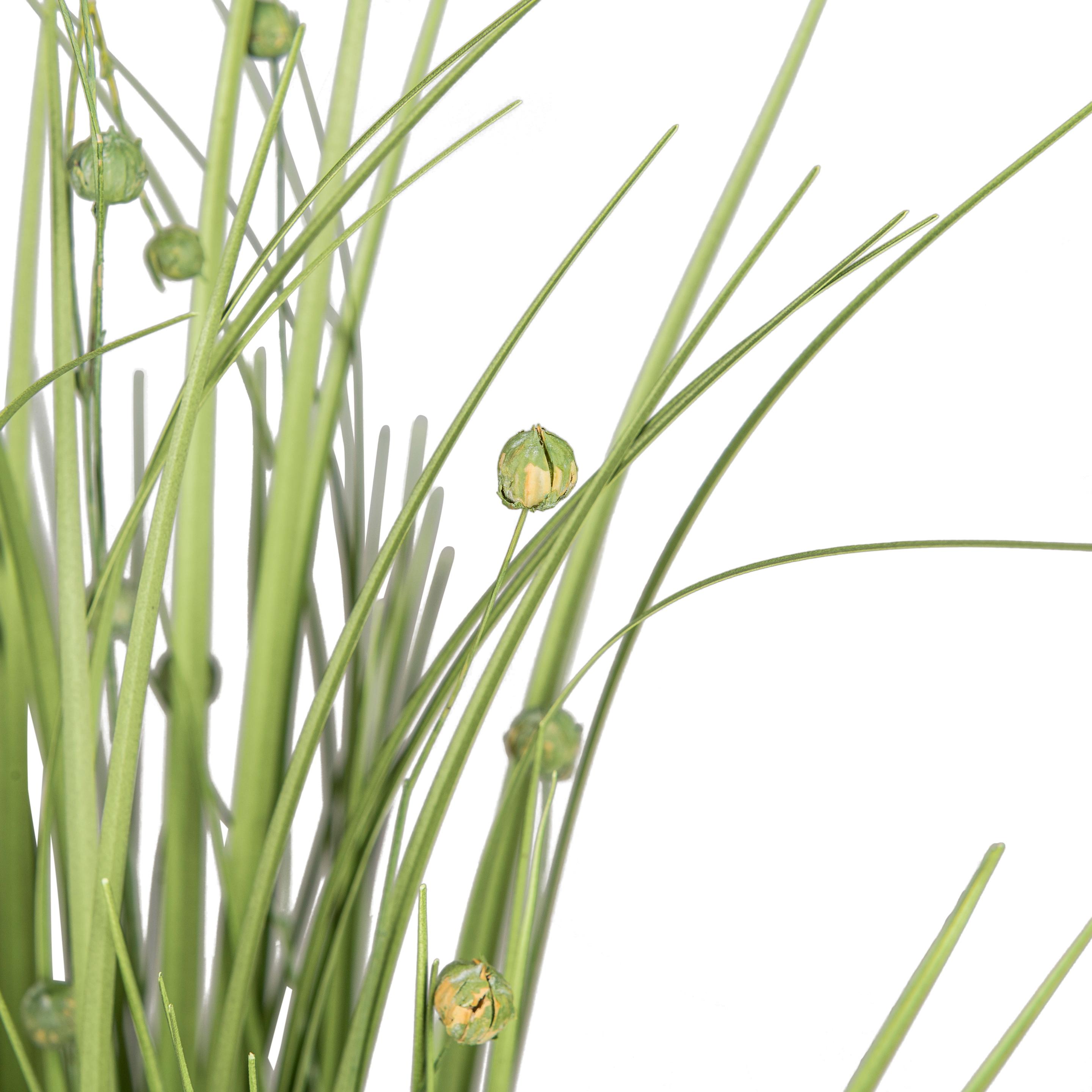 Produktbild CREATIVE GREEN Kunstpflanze 2 von 2