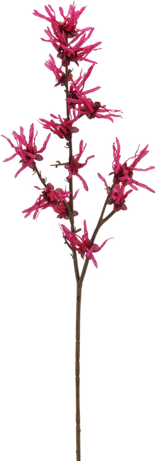 CREATIV GREEN Kunstblume Hamamelis