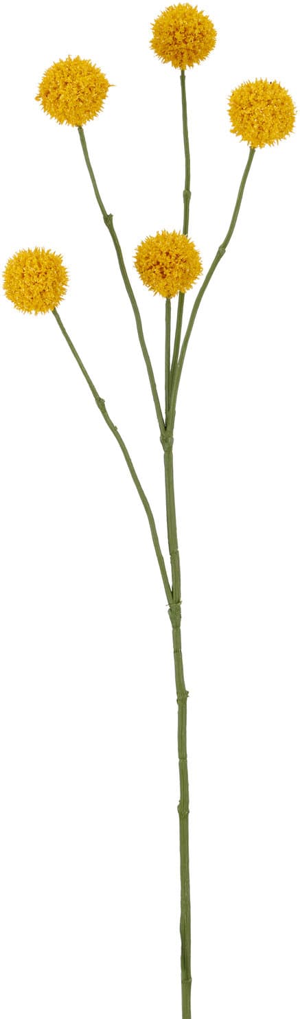 CREATIV GREEN Kunstblume Craspediastrauß