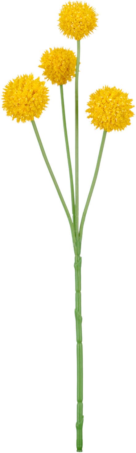 CREATIV GREEN Kunstblume Craspedia