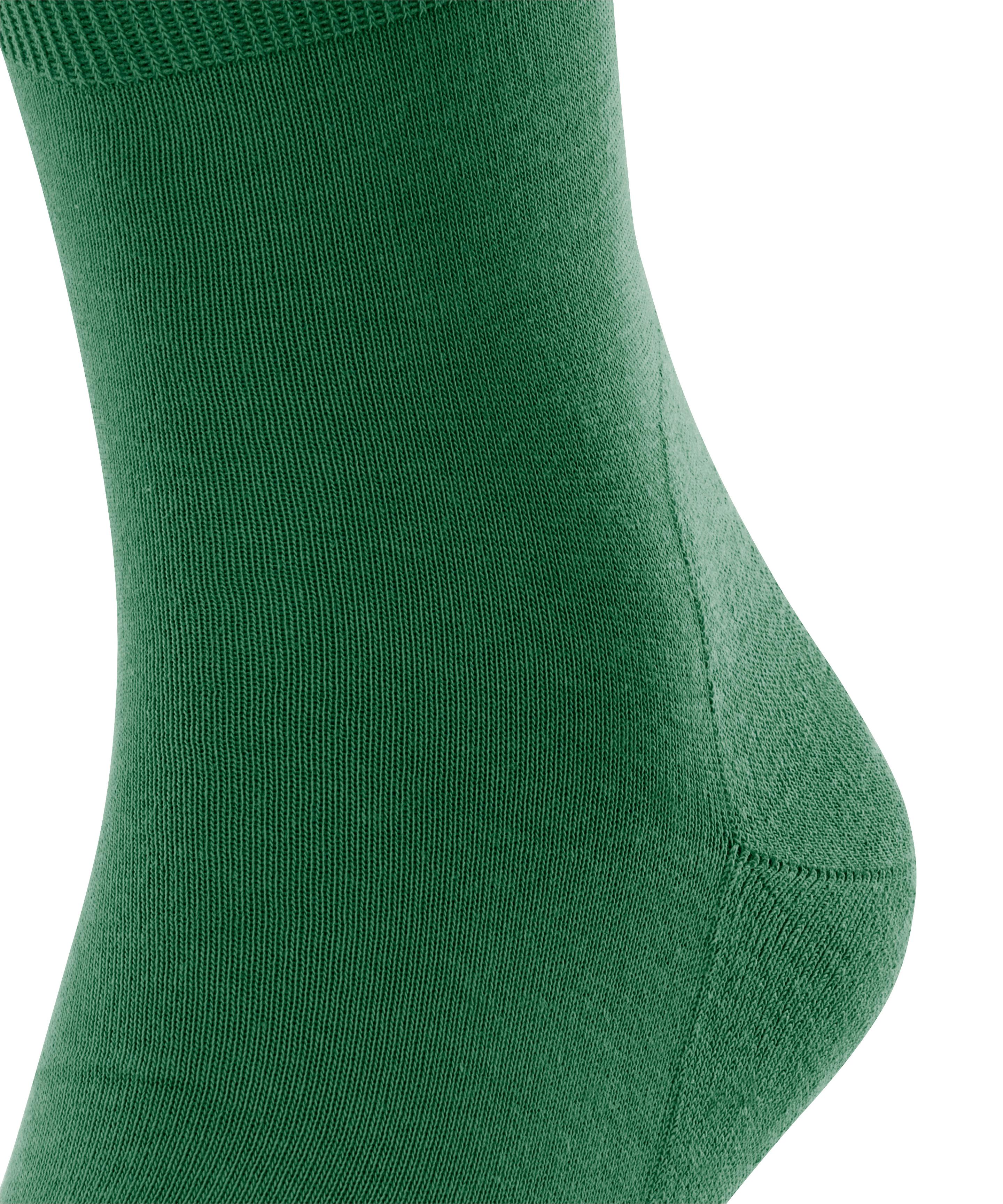 Produktbild FALKE Unisex Socken Run 5 von 5