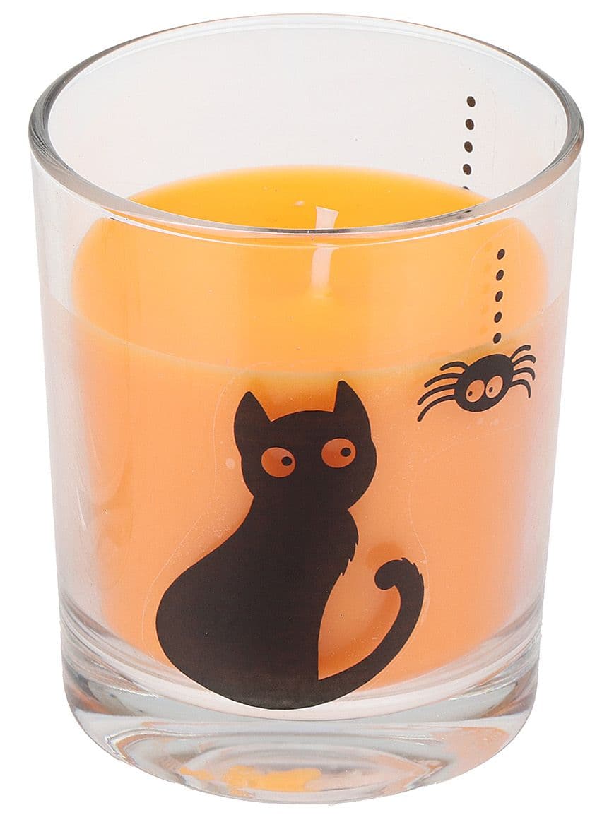 Steinhart Kerze im Glas Spinne & Katze