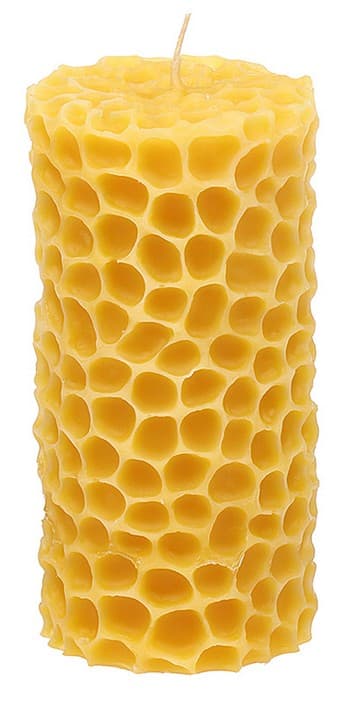 Steinhart Formkerze Bob Bienenwachs 12cm