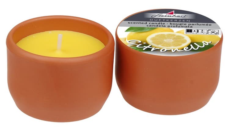 Steinhart Terra Töpfchen Citronella 3,5cm 2er Pack