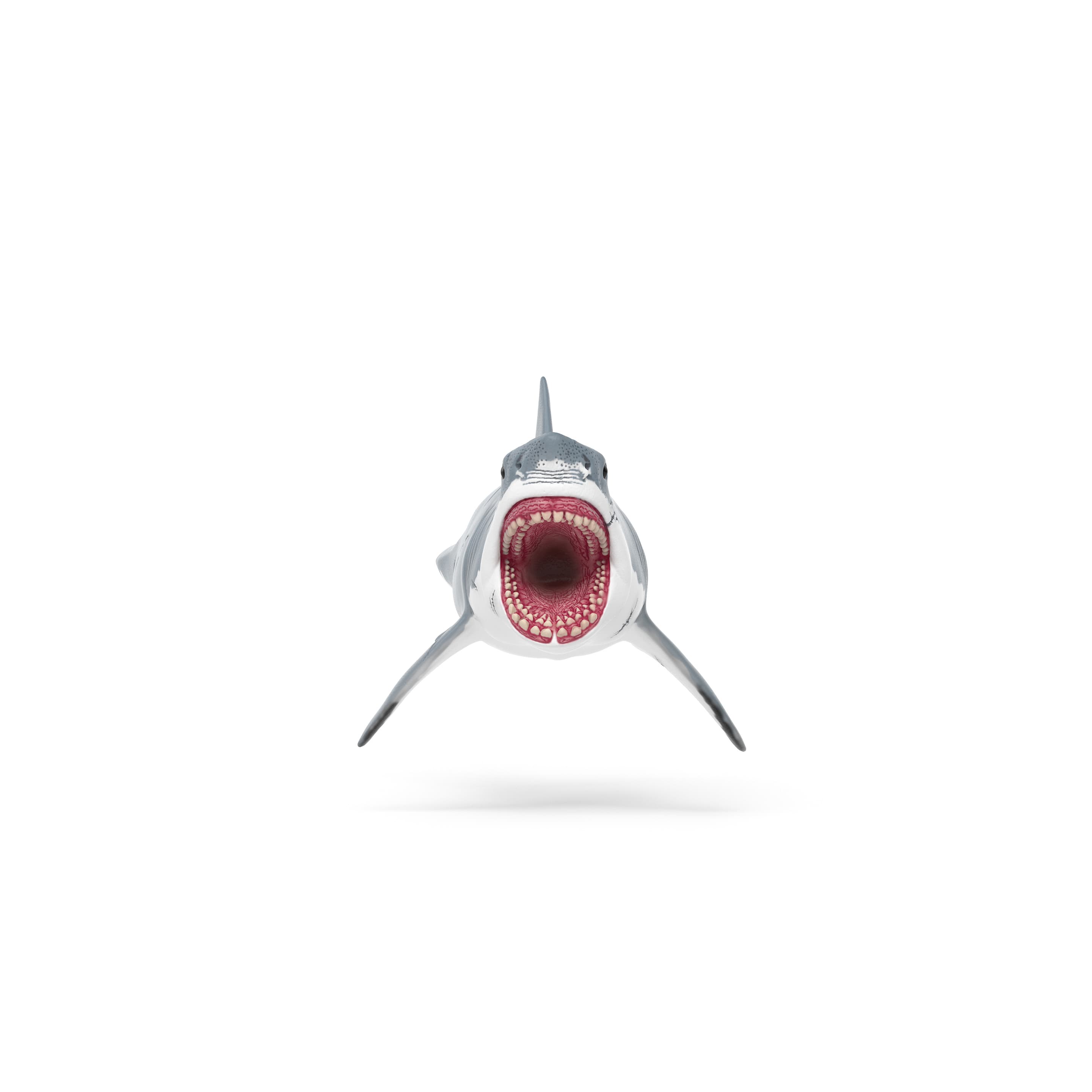 Produktbild Schleich 15055 - Dinosaurier - Megalodon 4 von 4