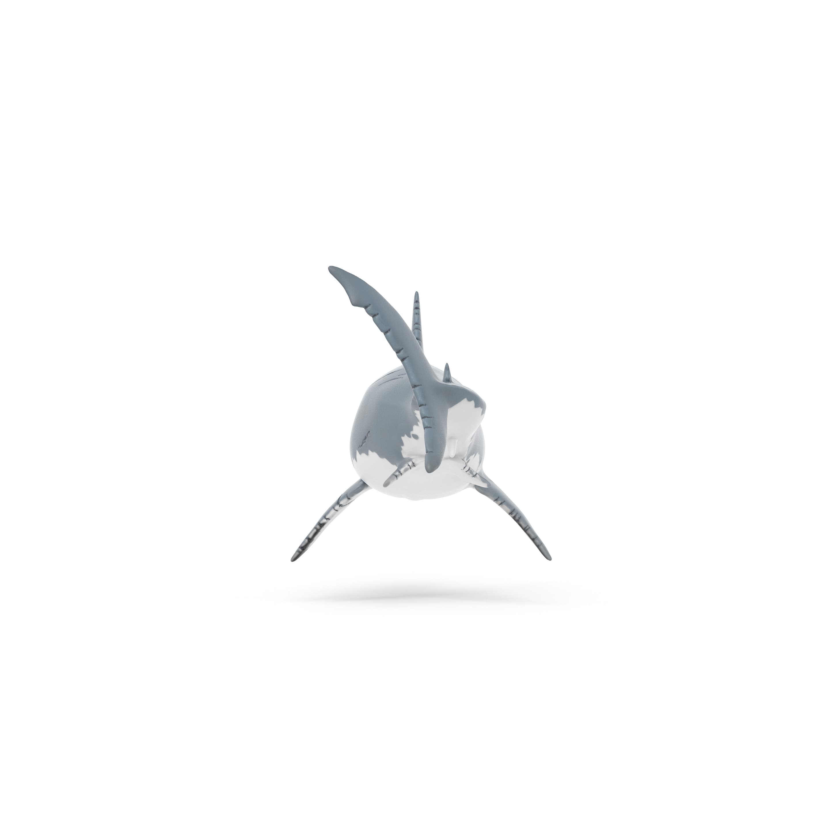Produktbild Schleich 15055 - Dinosaurier - Megalodon 3 von 4