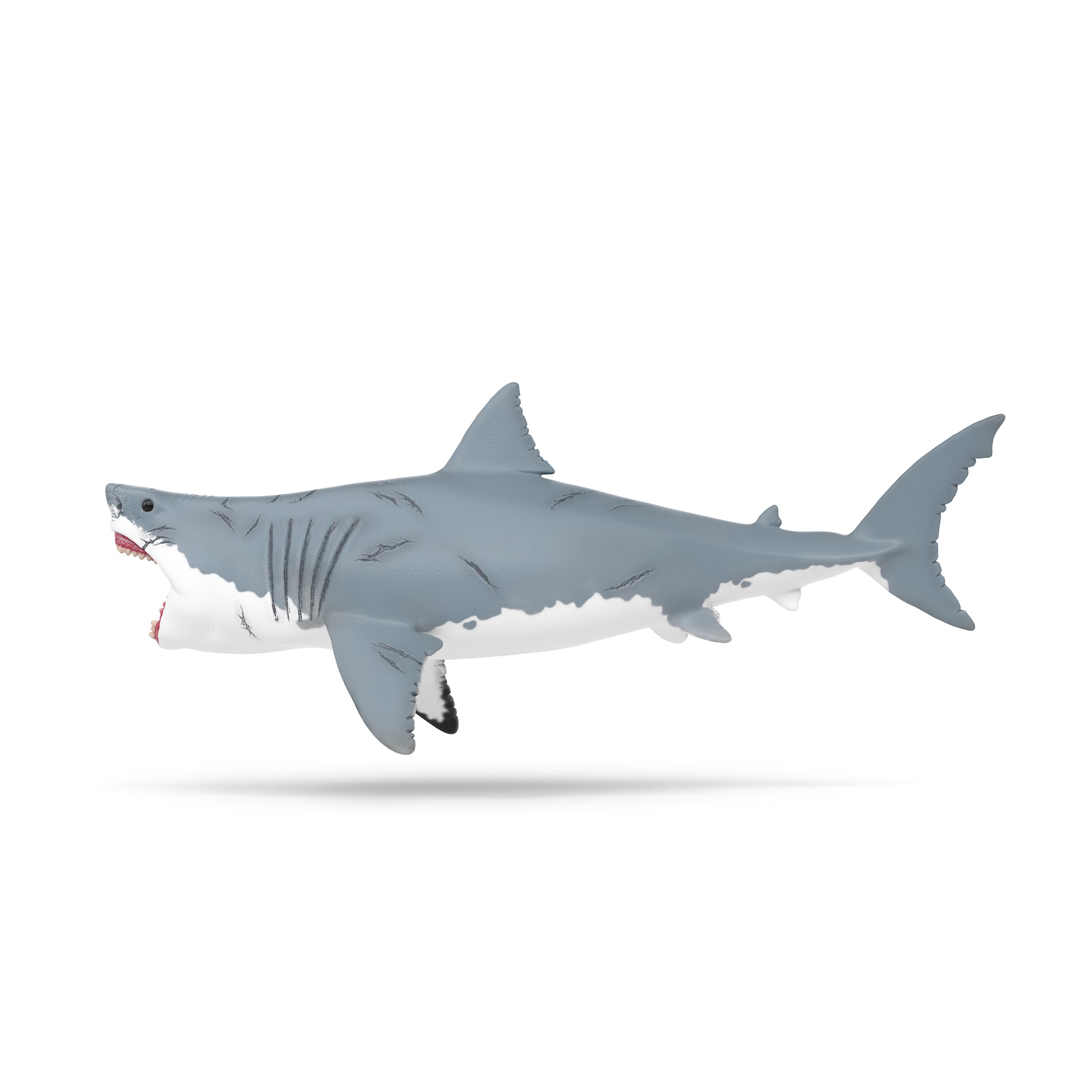 Produktbild Schleich 15055 - Dinosaurier - Megalodon 2 von 4