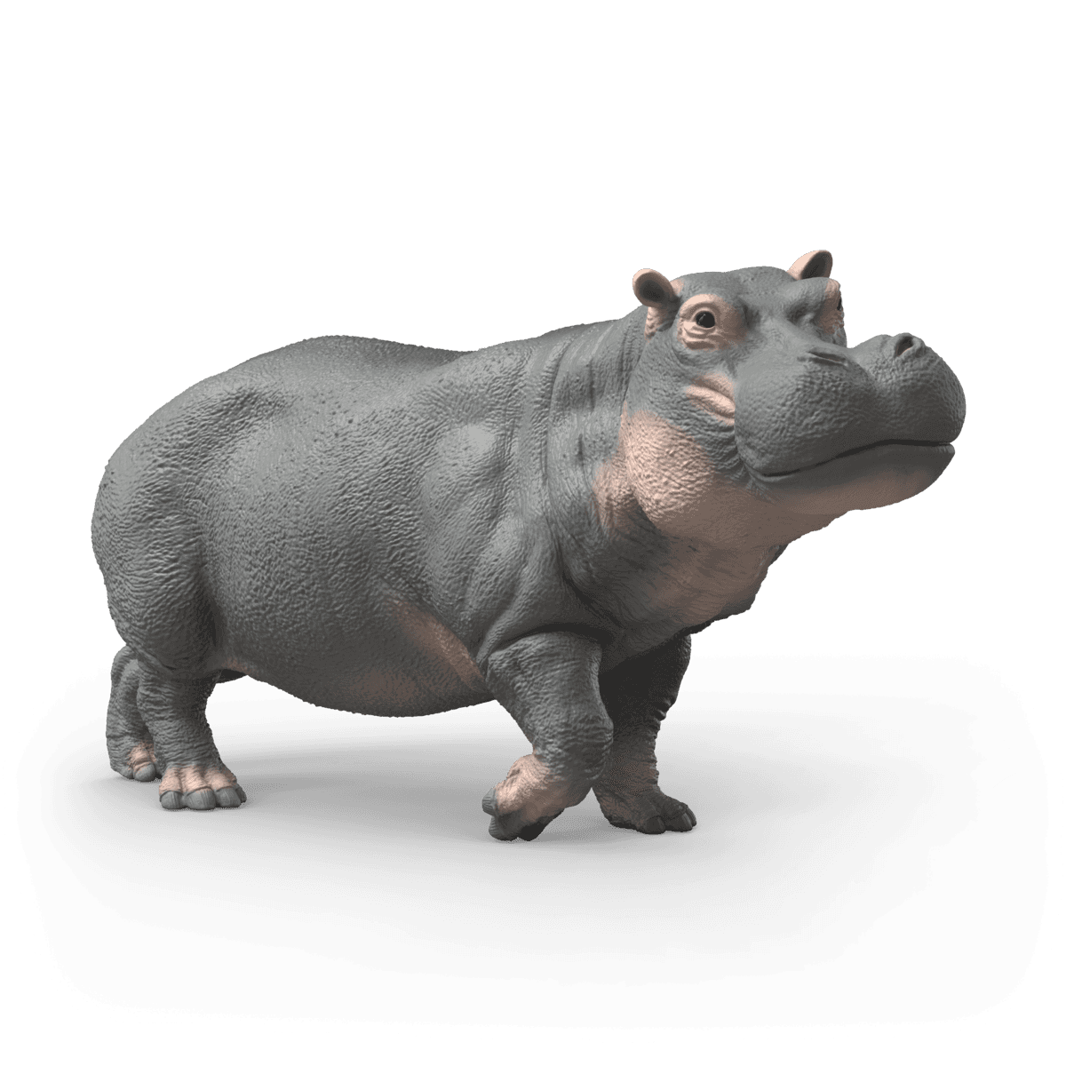 Schleich 14938 - Wild Life - Flusspferd