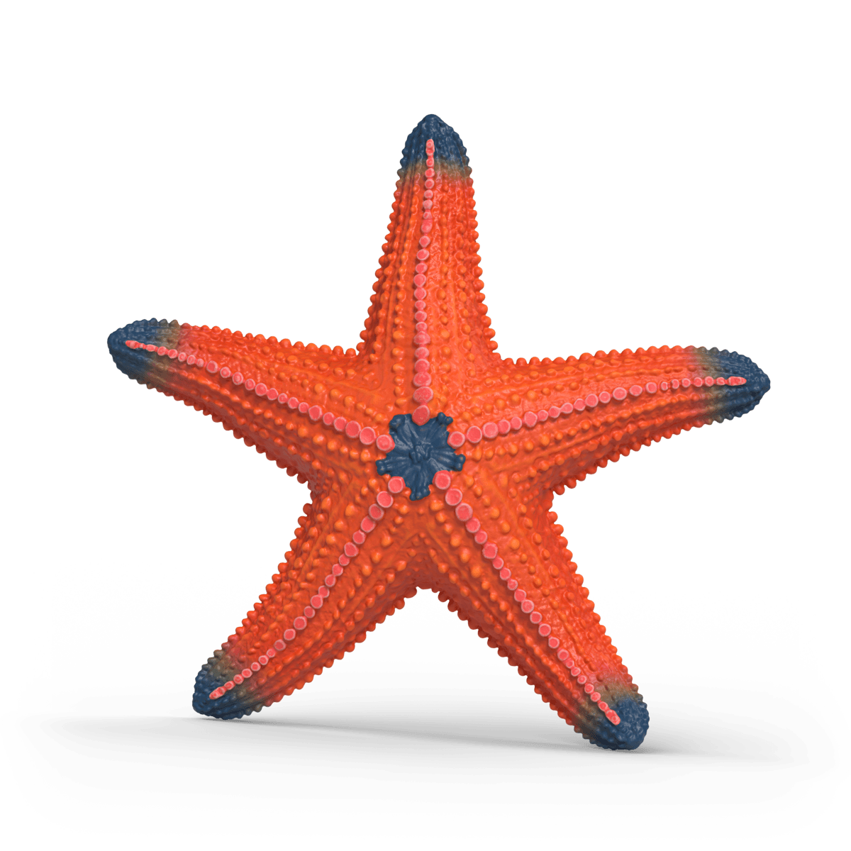 Schleich 14902 - Wild Life - Seestern