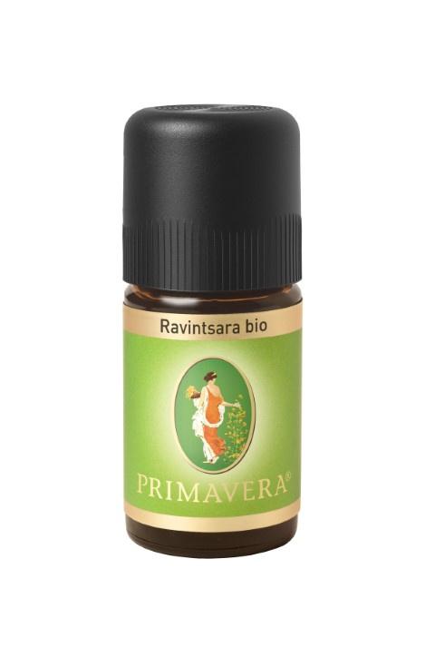 Primavera ätherisches Öl Ravintsara bio