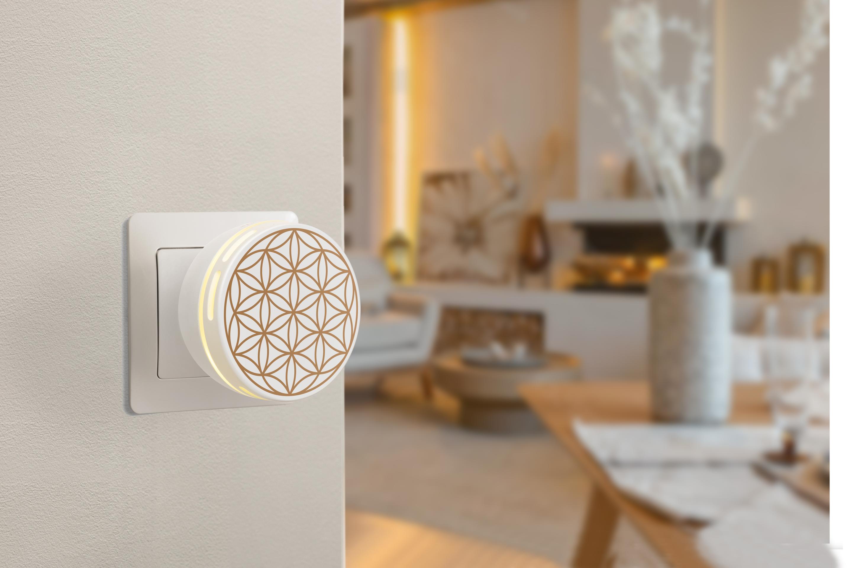 Produktbild Primavera Aroma Duftstecker Easy 2 von 2