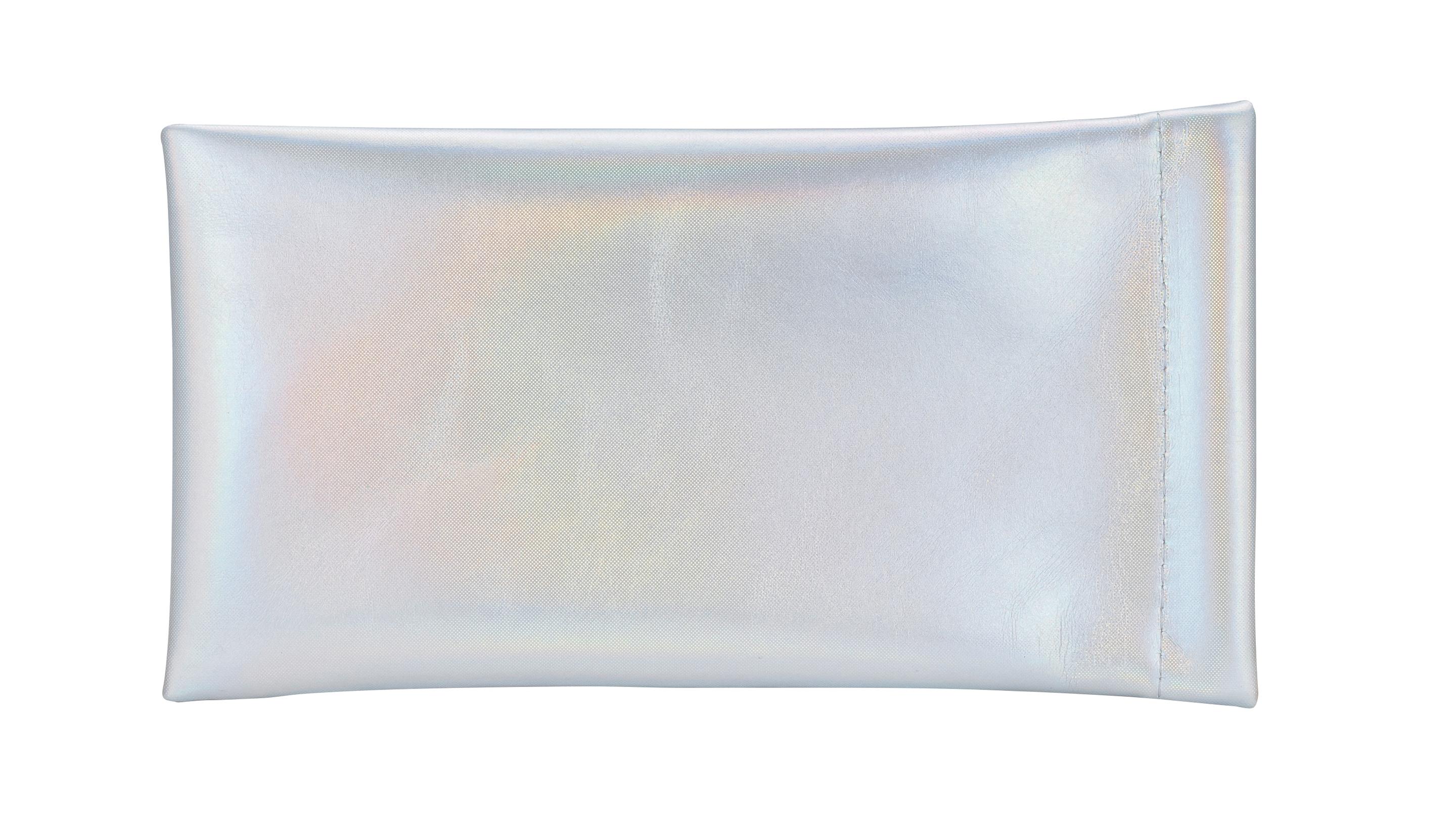 LEXXOO Sonnenbrillenetui silber