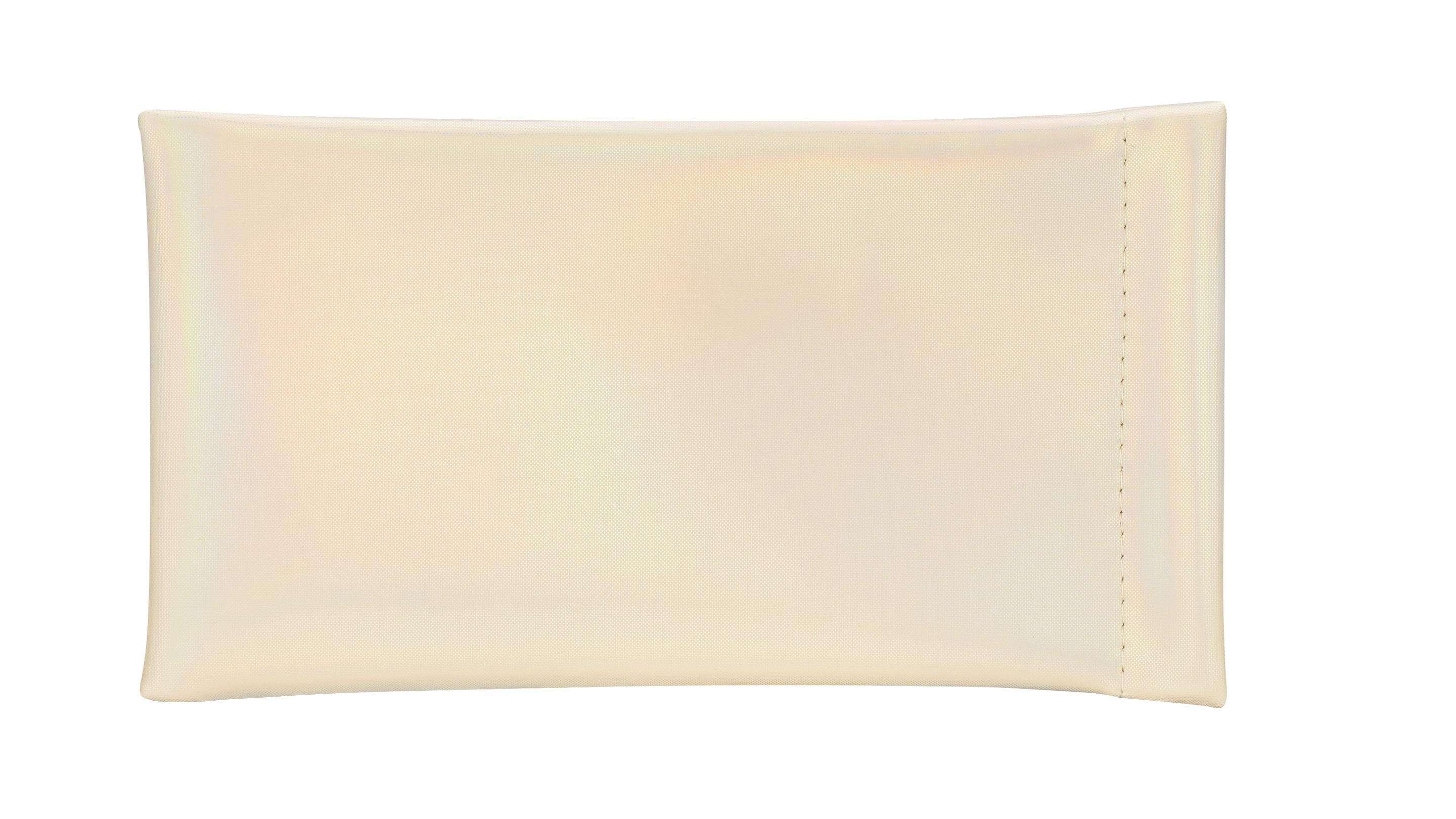 LEXXOO Sonnenbrillenetui gold