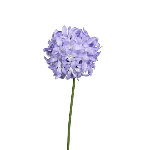 Allium 47cm
