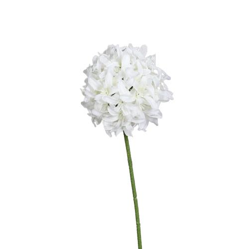 Allium 47cm