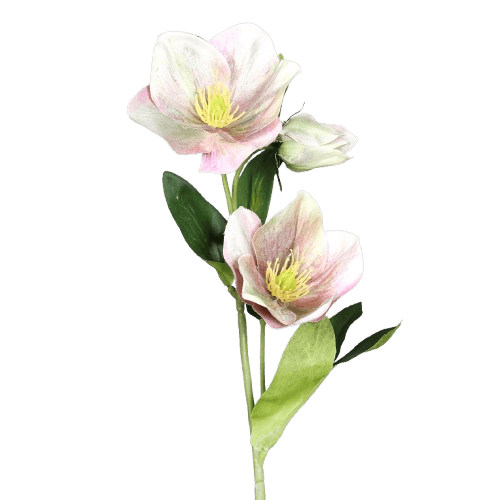 Kunstblume Christrose