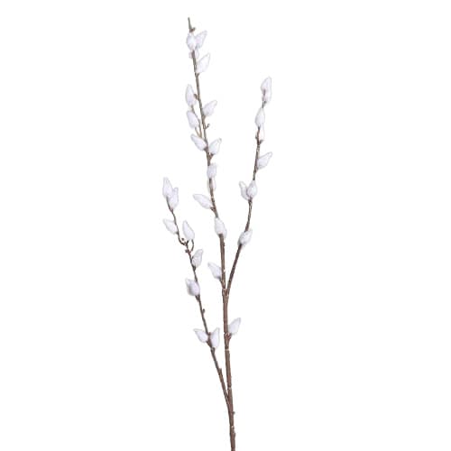 Weidenkätzchen Zweig 62cm