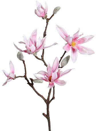 Kunstblume Magnolienzweig